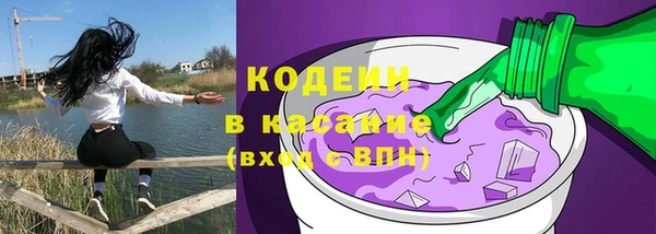 ешки Арсеньев