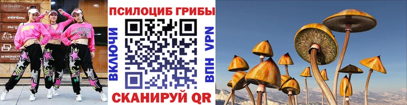 Псилоцибиновые грибы GOLDEN TEACHER  даркнет сайт  Мурманск 